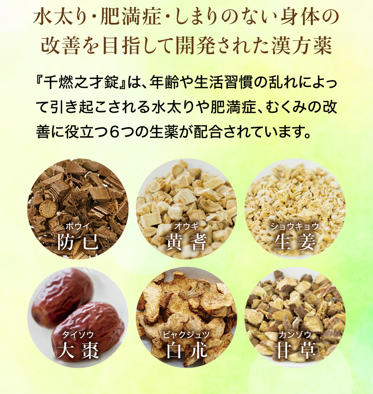 水太り・肥満症・しまりのない体の改善を目指して開発された漢方薬