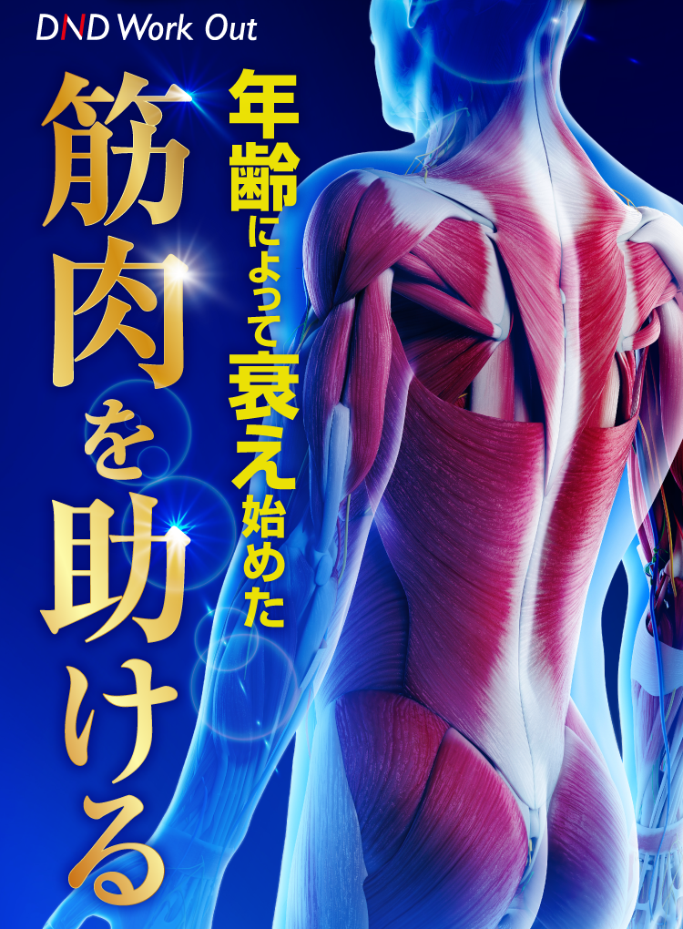年齢によって衰え始めた筋肉を助ける