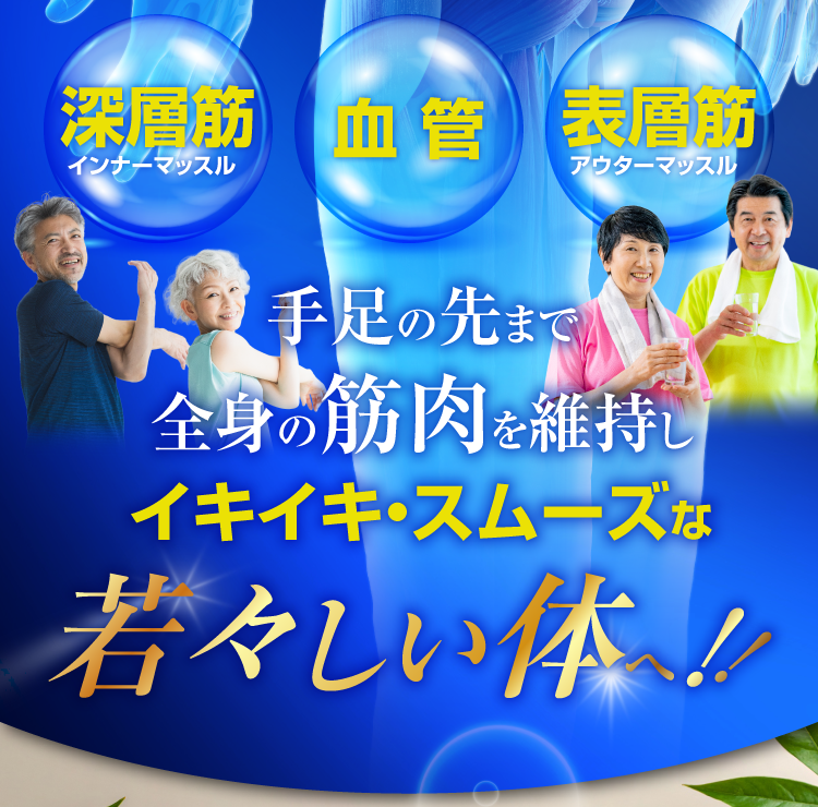 イキイキ・スムーズな若々しい体へ