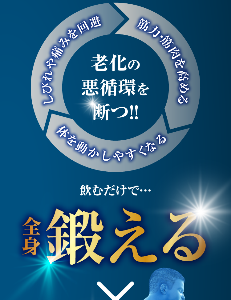 飲むだけで全身鍛える