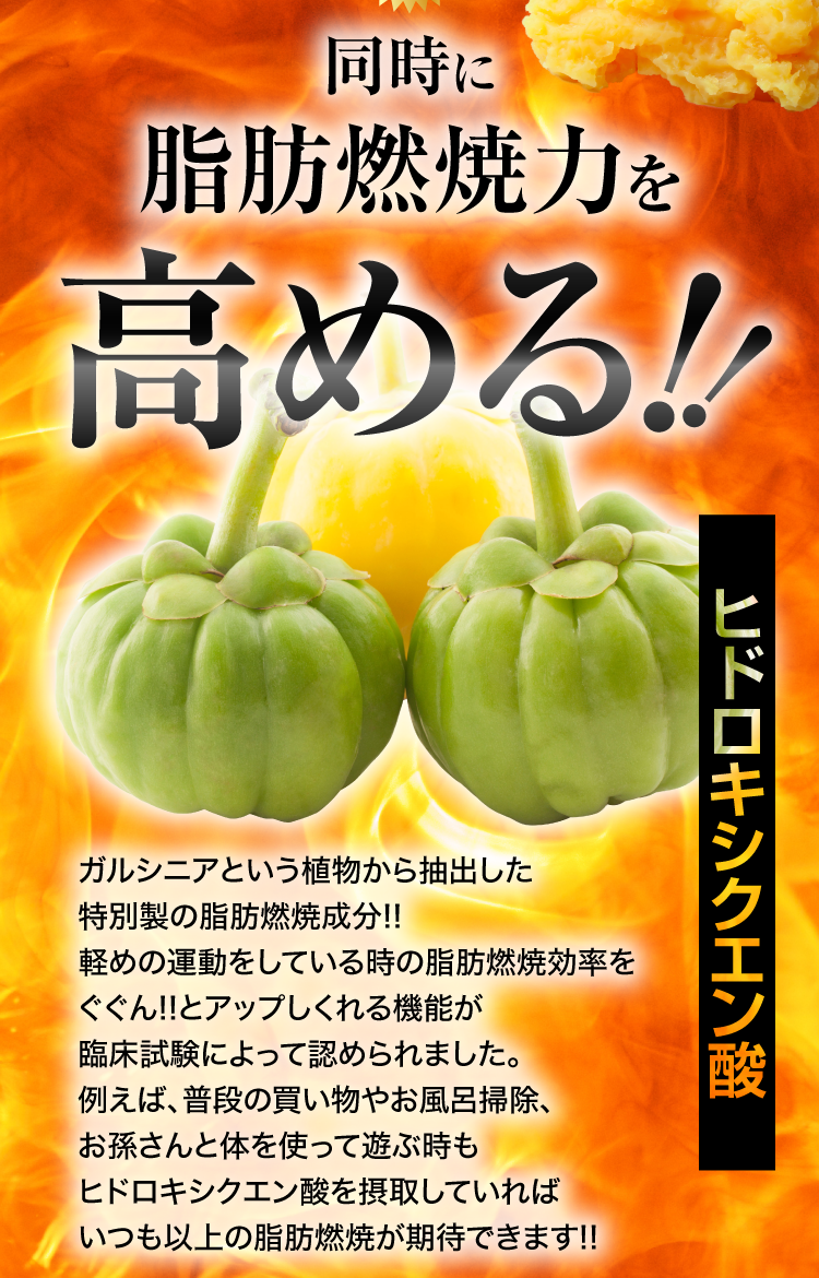 同時に脂肪燃焼力を高める