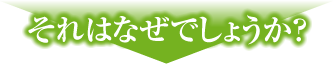 それはなぜでしょうか？
