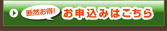 断然お得！お申し込みはこちら