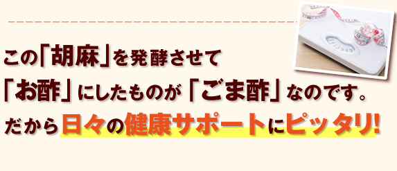 この「胡麻」を発酵させて「お酢」にしたものが「ごま酢」なのです。だから日々の健康サポートにピッタリ！