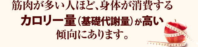 筋肉が多い人ほど、身体が消費する
カロリー量（基礎代謝量）が高い傾向にあります。
