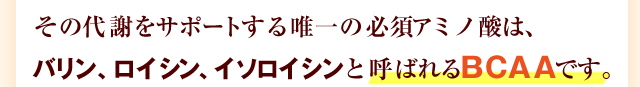 その代謝をサポートする唯一の必須アミノ酸は、バリン、ロイシン、イソロイシンと呼ばれるBCAAです。