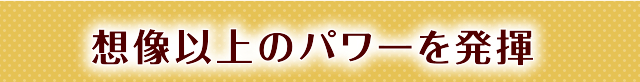 想像以上のパワーを発揮