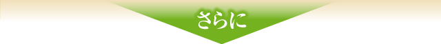 さらに