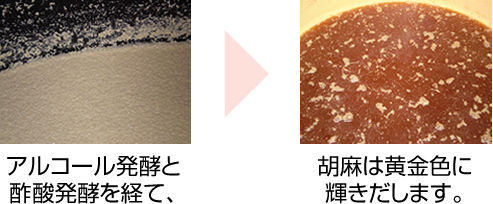 アルコール発酵と酢酸発酵を経て、胡麻は黄金色に輝きだします。