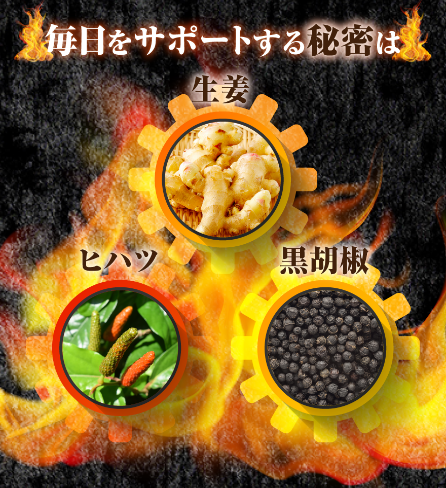 毎日をサポートする秘密は
