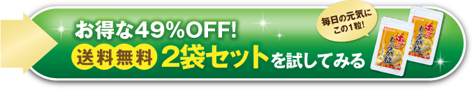 お得な価格で購入